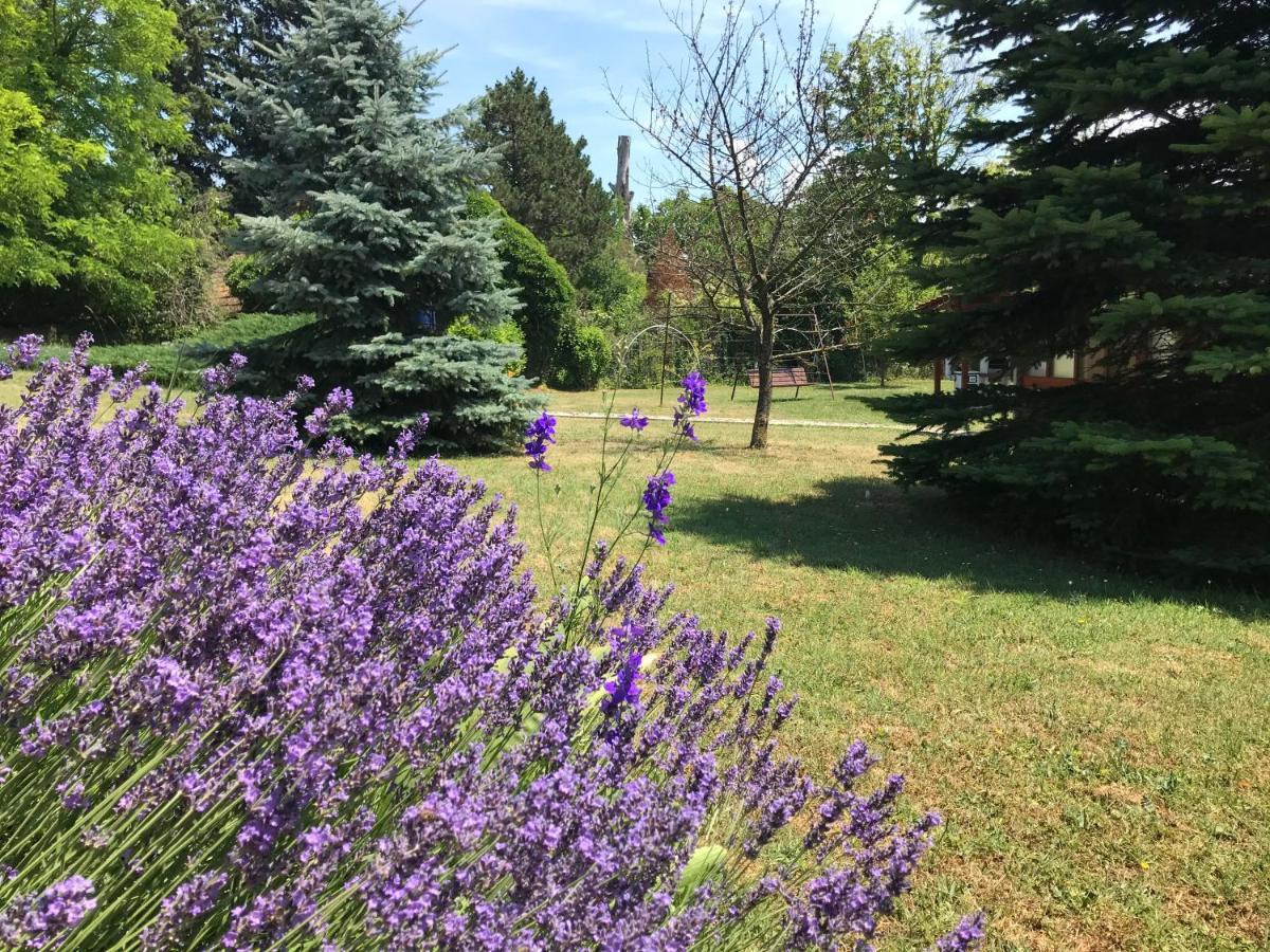 Balaton Garden Leilighet Balatongyörök Eksteriør bilde